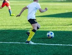 年起,曼联成英超,独树一帜奇,万博manbetx体育平台,万博体育官网,万博体育app下载,ManBetX,SPORTS