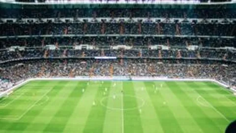 万博manbetx体育平台