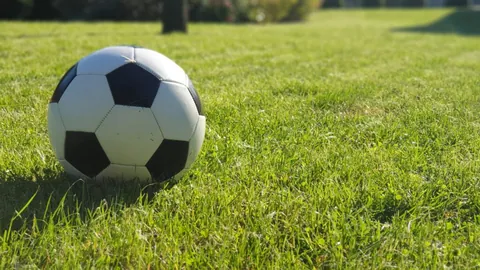 万博manbetx体育平台